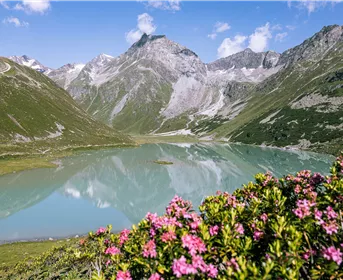 2026 06 26 28 rifflsee 8