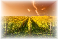 italien